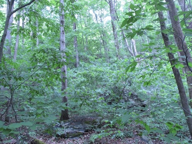 0 Vermont 12a, Braintree, VT 05060 - photo 7