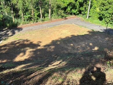 n/a Camino Los Ruiz unit n/a, Trujillo Alto, PR 00976 - photo 2