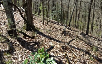 M99 Sleepy Hollow Rd, Ellijay, GA 30536 - photo 2