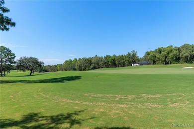 3824 N Baltusrol Path, Lecanto, FL 34461 - photo 3