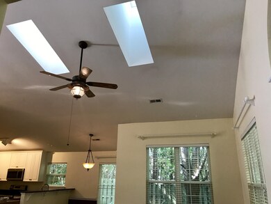 Living Room sky lights
