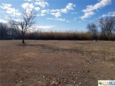 3829 Bottoms East Rd, Troy, TX 76579 - photo 7