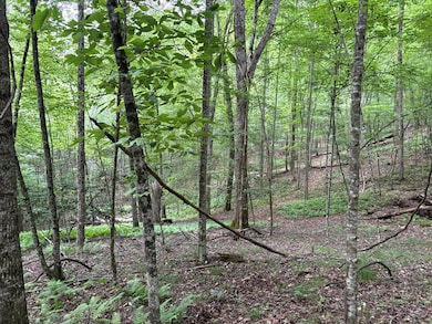 0 Walker Dr unit 416599, Morganton, GA 30560 - photo 5