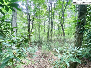 Easy building site on this 1.4 acre tract