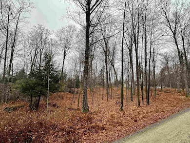 Lot 61 Chip n Dale Dr, Pickerel, WI 54465 - photo 5