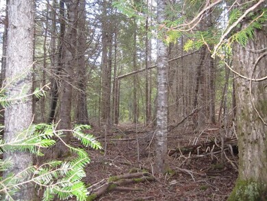 Lightly wooded with some good timber...