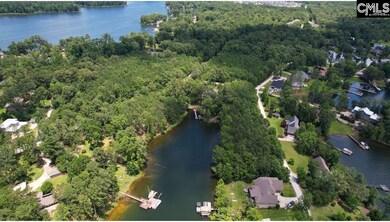 lot 2 Saint Thomas Church Rd, Chapin, SC 29036 - photo 6