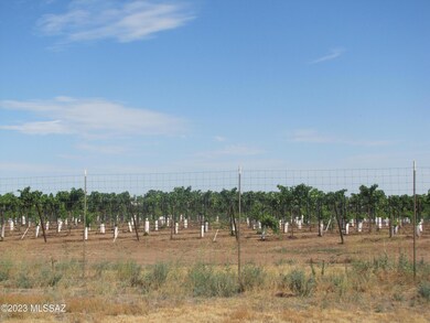 Vineyard behind (north) lot