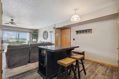 4702 Chadwick Rd unit 6, Cedar Falls, IA 50613 - photo 6