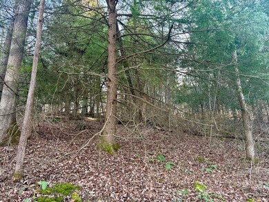 Lot 13 Hensley Rd, East Bernstadt, KY 40729 - photo 7