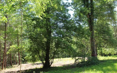 Additional View