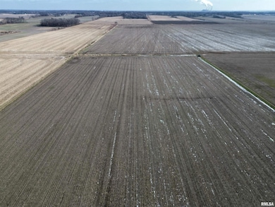 000 County Road 700 E, Mount Carmel, IL 62863 - photo 3