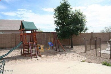 Backyard 3