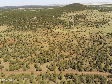 TBD Acr N3263 Parcel 1 -- unit 34, Vernon, AZ 85940 - photo 3