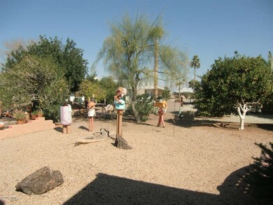 Backyard towards north