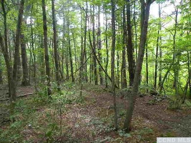 0 9w Route unit 110531, Athens, NY 12015 - photo 4