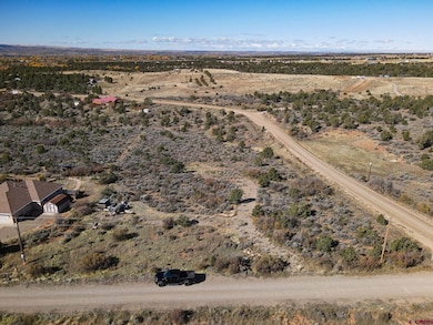 17467 Road 27 7, Dolores, CO 81323 - photo 4