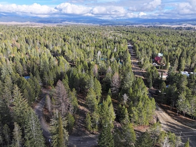 12786 Chuckwagon Rd unit 5, Donnelly, ID 83615 - photo 3