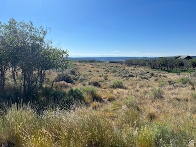 32 N Porcupine, La Sal, UT 84530 - photo 5