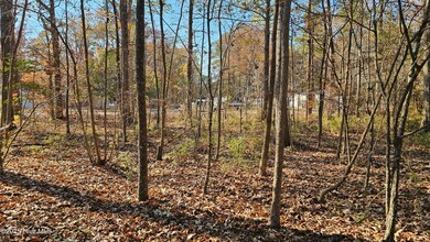 184 Shady, Hertford, NC 27944 - photo 4