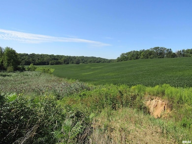 0 N Highway 9 County Rd unit RMAPA1260470, Lewistown, IL 61542 - photo 3