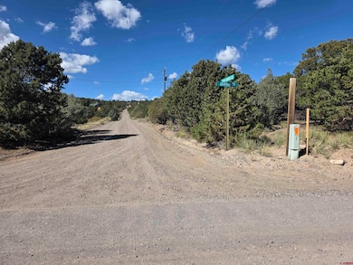 555 Arapaho Rd, South Fork, CO 81154 - photo 2