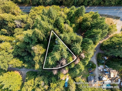 75601 NE 122nd St, Skykomish, WA 98288 - photo 6