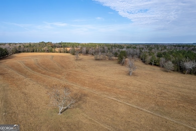 485 Thompson Rd, Sparta, GA 31087 - photo 6