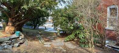 95 vine side of yard