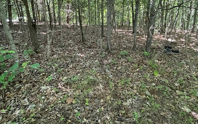 Additional View