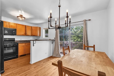 3811 W School St unit C, Chicago, IL 60618 - photo 7