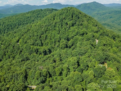 99999 Gateway Pkwy unit 761, Old Fort, NC 28762 - photo 6