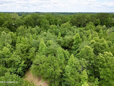 10.19 Acre Mississippi 43 N, Poplarville, MS 39470 - photo 3