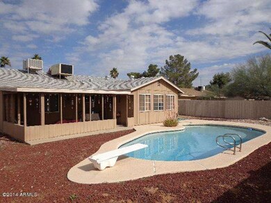 Bailey Backyard (3)