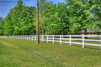 11062 N Hidden Oaks, Conroe, TX 77384 - photo 3