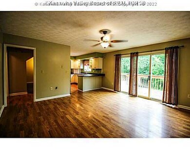 58 Mannon Dr, Alum Creek, WV 25003 - photo 7