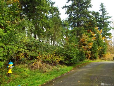 255th 295th St E, Graham, WA 98338 - photo 5