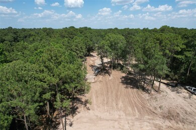 15209 Saddlewood Dr, Conroe, TX 77384 - photo 2