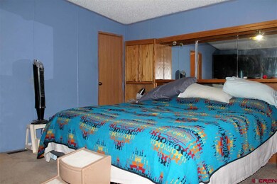 S County Road 4, Alamosa, CO 81101 - photo 6