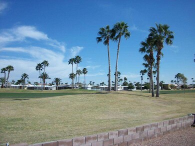 View from Back Yard