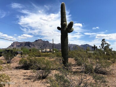 Saguaro & Mountain Views