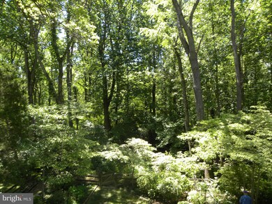 5023 King Richard Dr, Annandale, VA 22003 - photo 2