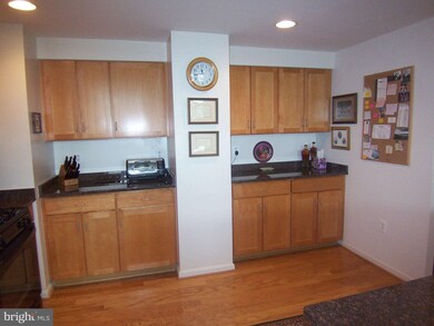4490 Market Commons Dr unit 704, Fairfax, VA 22033 - photo 6