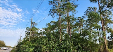 18th Ave Ave NE, Naples, FL 34120 - photo 4