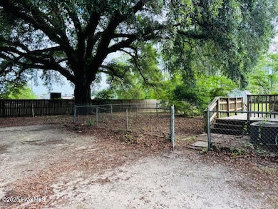 TREE & REAR YARD