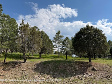 Lot 3 Block 8, Alto, NM 88312 - photo 3