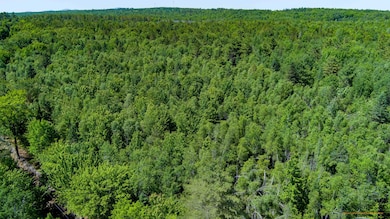 0 Ramsdell Ridge Rd unit 1611976, Milo, ME 04463 - photo 2