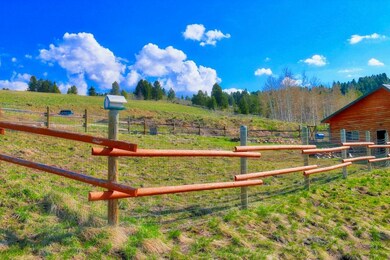 4 Dog enclosure