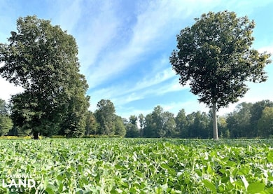 0 Reedy Branch Rd, Hamilton, AL 35570 - photo 3