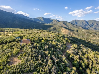 2000 Oakwood Dr unit 1, Springville, UT 84663 - photo 3